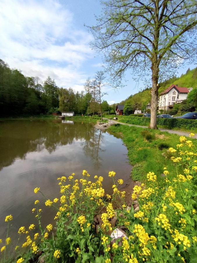 Ferienwohnung Sauerland Burgfenster 레네슈타트 외부 사진