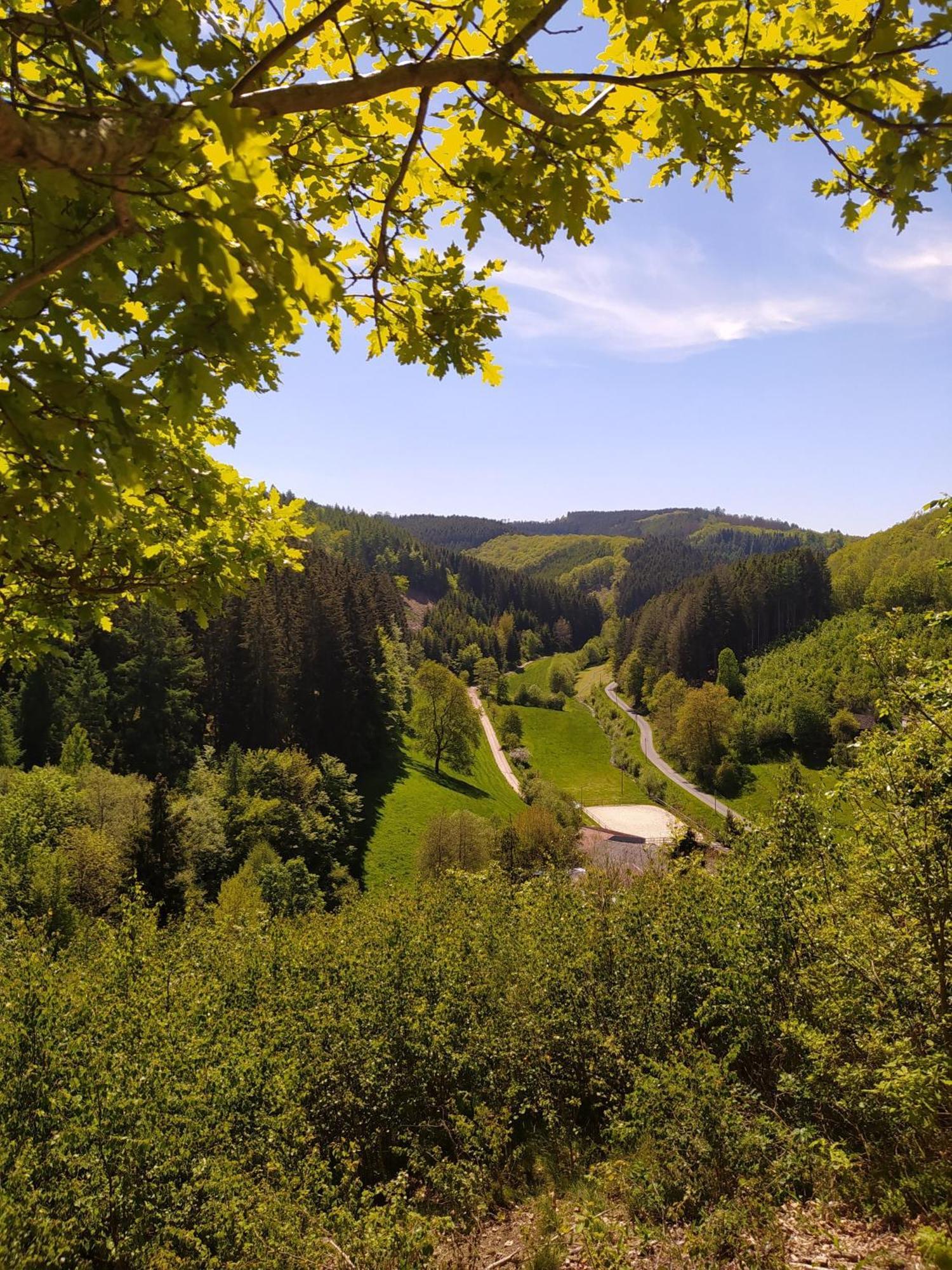 Ferienwohnung Sauerland Burgfenster 레네슈타트 외부 사진